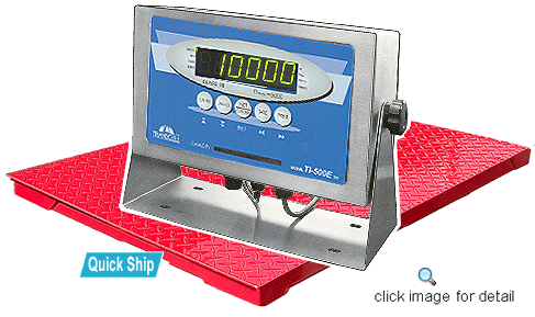 Floor Scale Package TS10-48-B