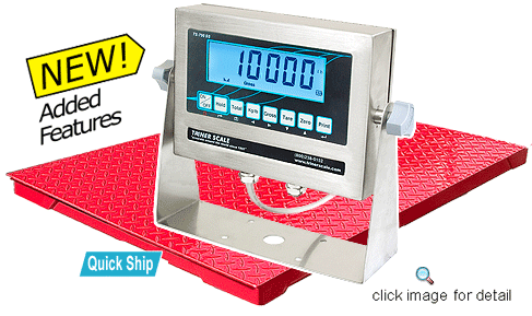 Floor Scale Package TS10-48-C