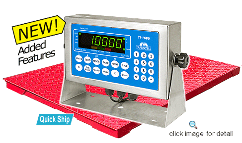 Floor Scale Package TS10-48-D