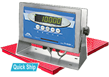 Floor Scales Direct